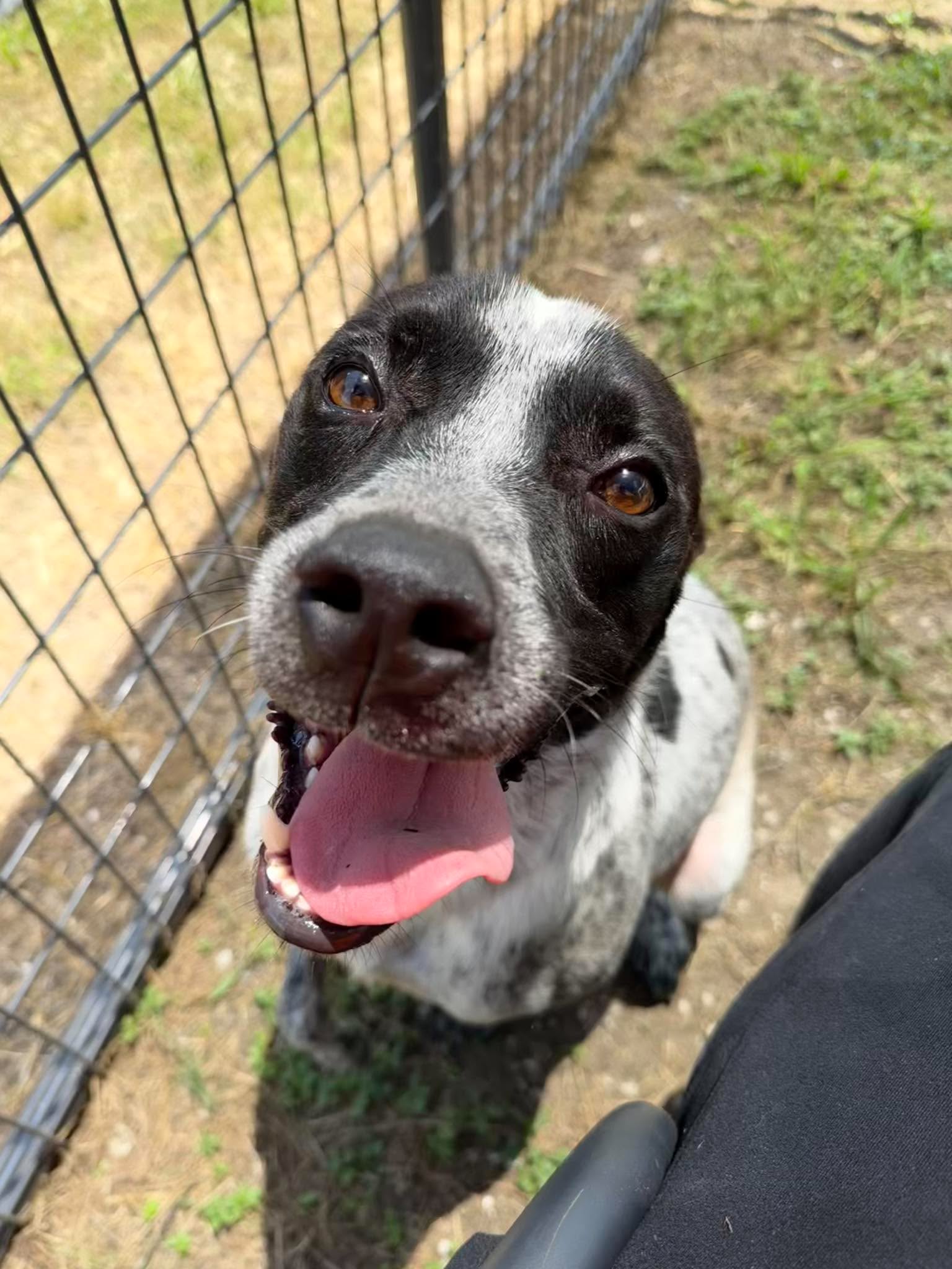 Jax